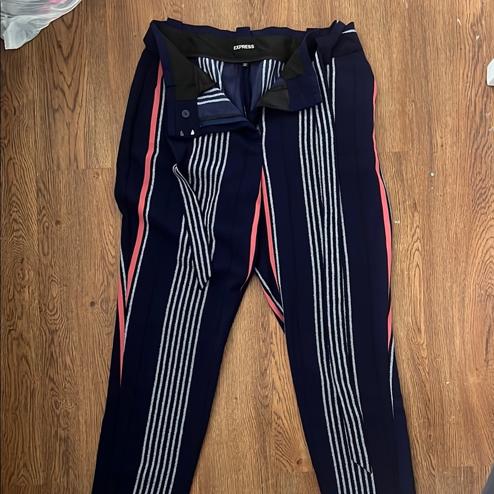 Express Striped Navy Pants